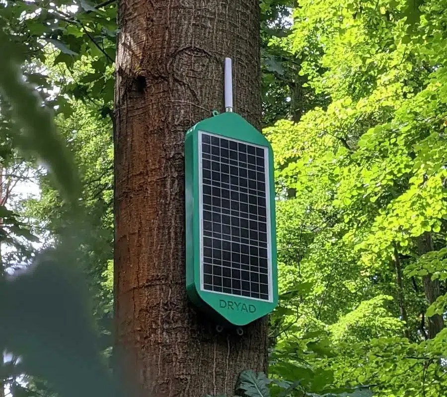 Solar-powered LoRaWAN mesh gateway extending the wildfire sensor network across the forest