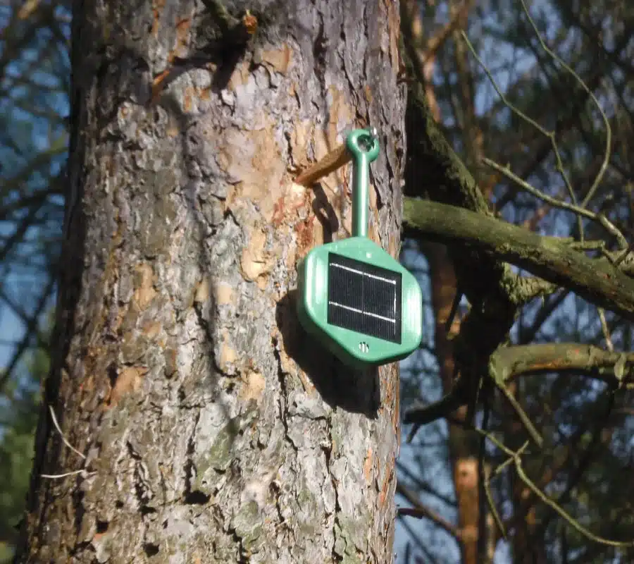 IoT sensor for early wildfire detection mounted on a tree trunk