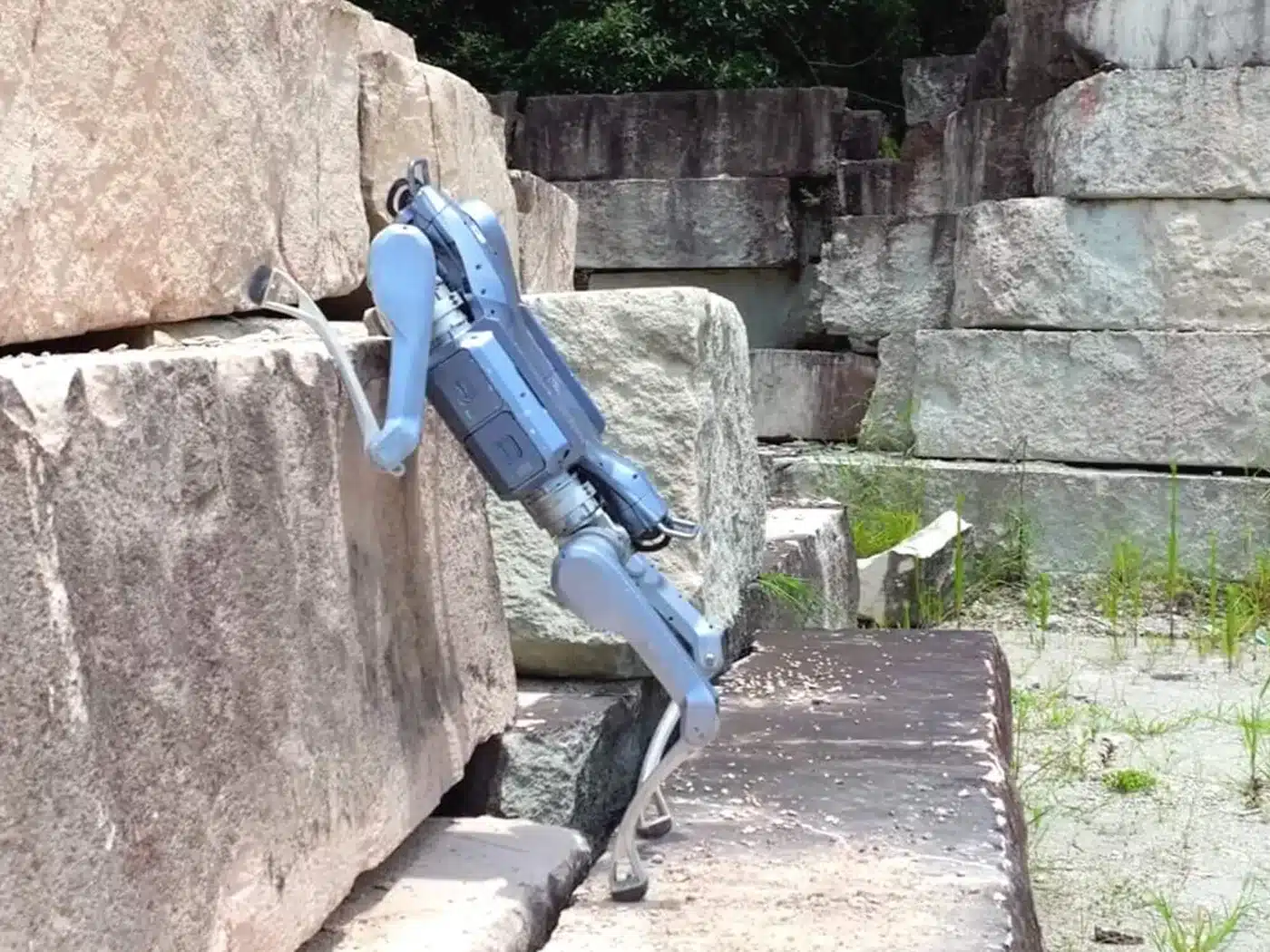 Unitree A2 Pro quadruped robot climbing a rock step in a quarry, where a wheeled rover would stop